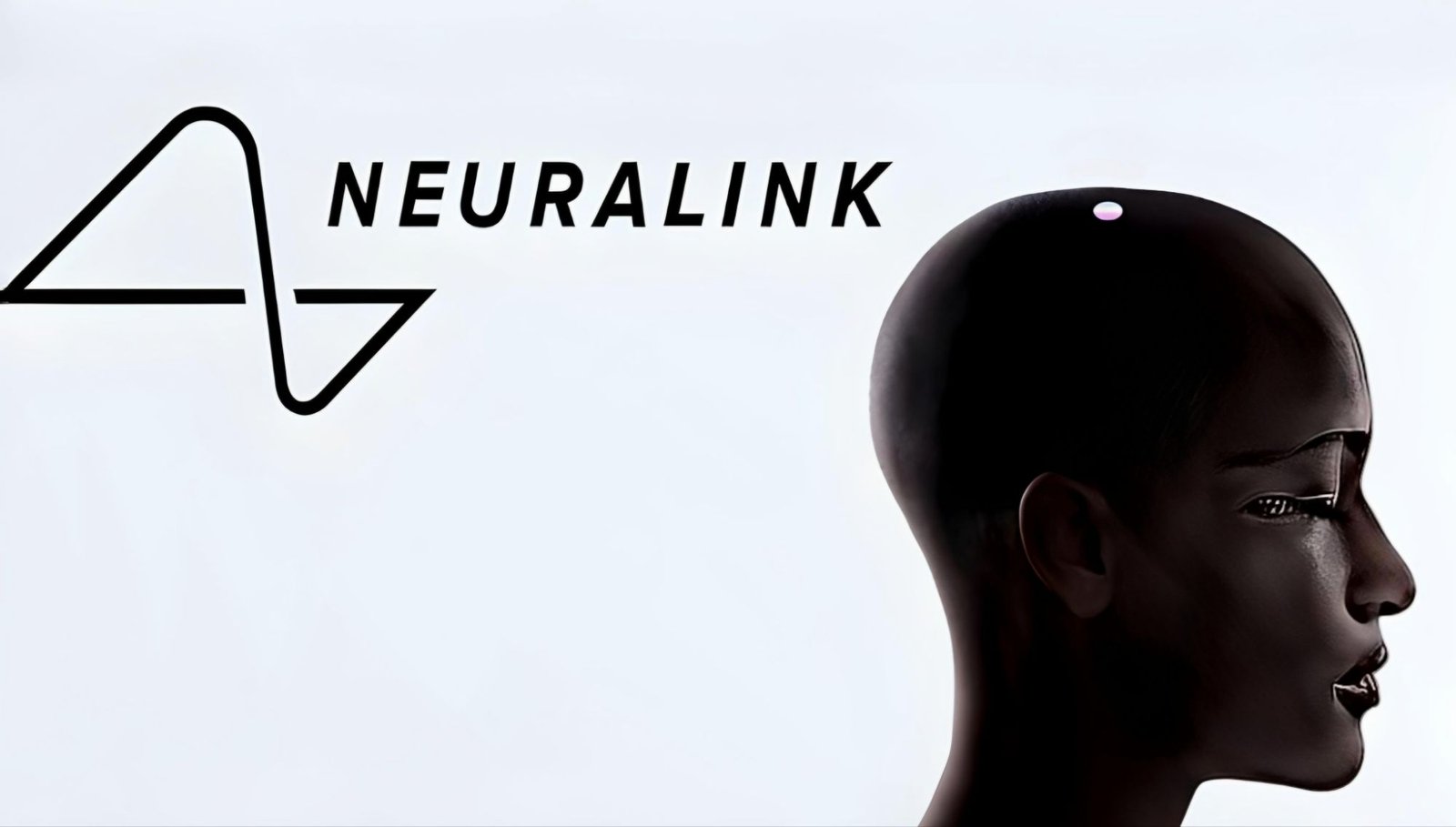 Elon Musk's Neuralink